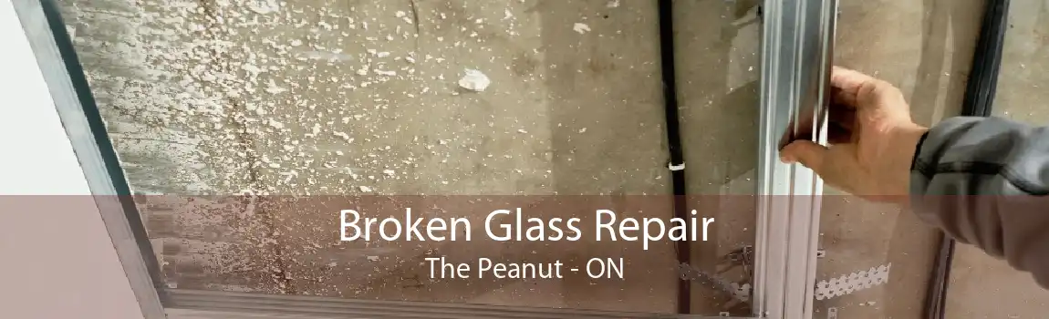Broken Glass Repair The Peanut - ON