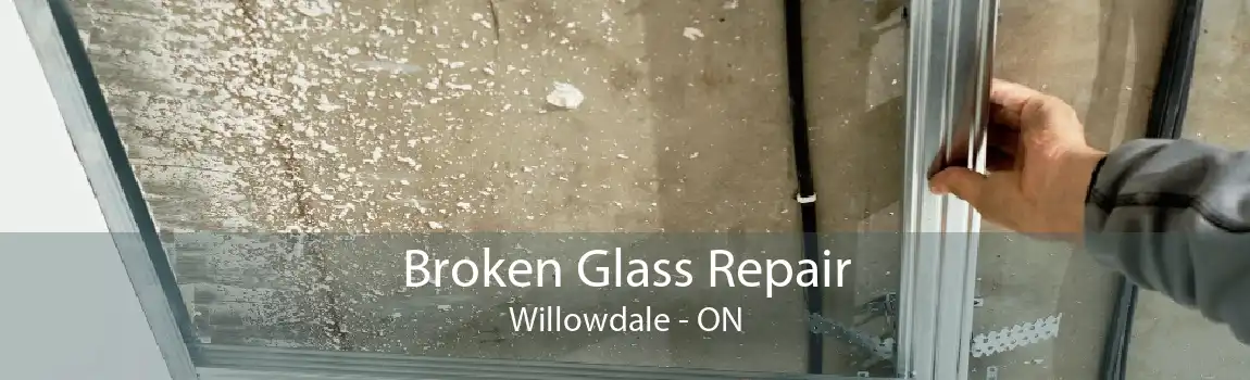 Broken Glass Repair Willowdale - ON