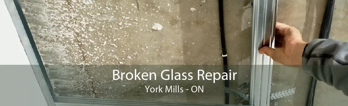 Broken Glass Repair York Mills - ON