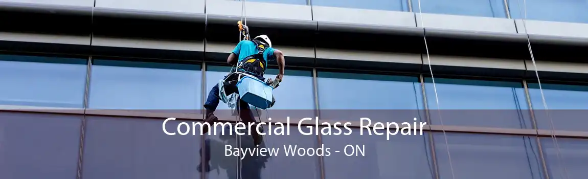 Commercial Glass Repair Bayview Woods - ON