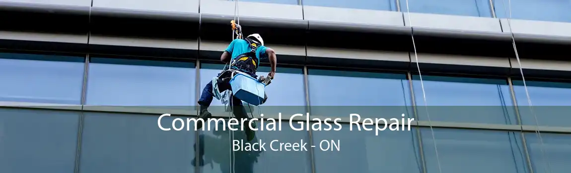 Commercial Glass Repair Black Creek - ON