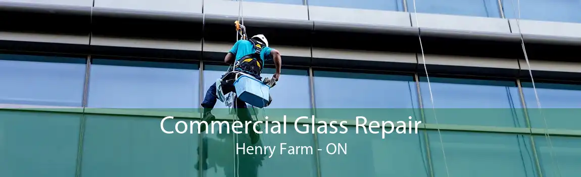 Commercial Glass Repair Henry Farm - ON