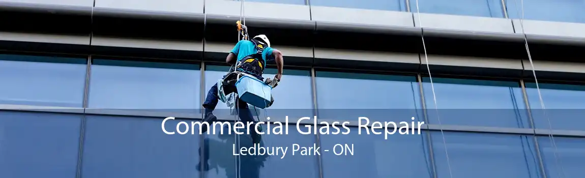 Commercial Glass Repair Ledbury Park - ON