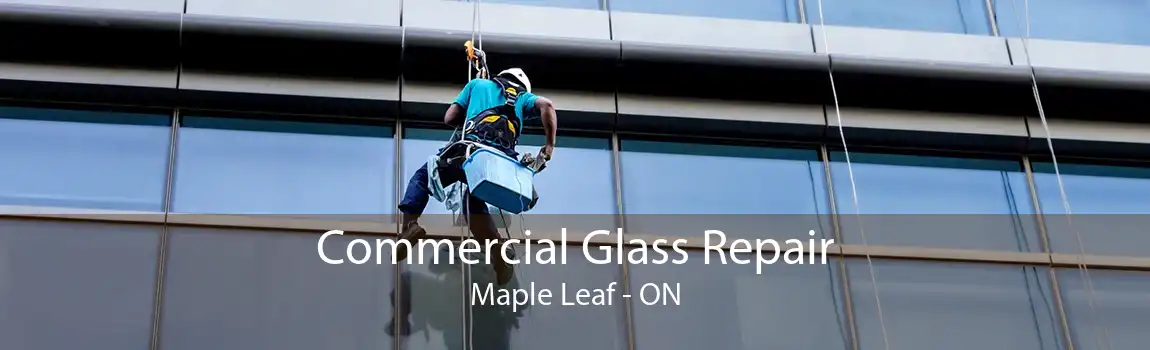 Commercial Glass Repair Maple Leaf - ON