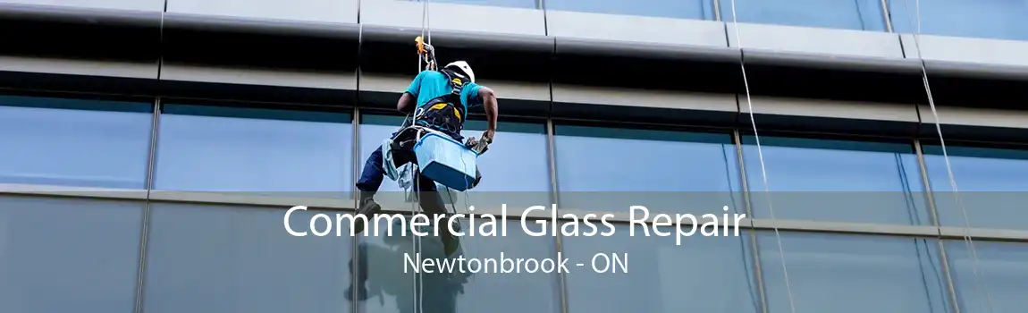 Commercial Glass Repair Newtonbrook - ON