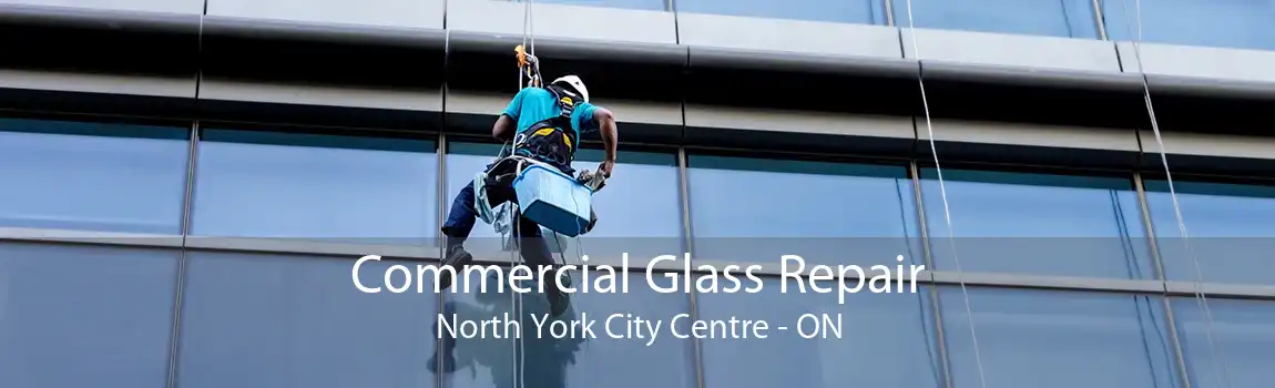 Commercial Glass Repair North York City Centre - ON