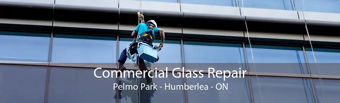 Commercial Glass Repair Pelmo Park - Humberlea - ON