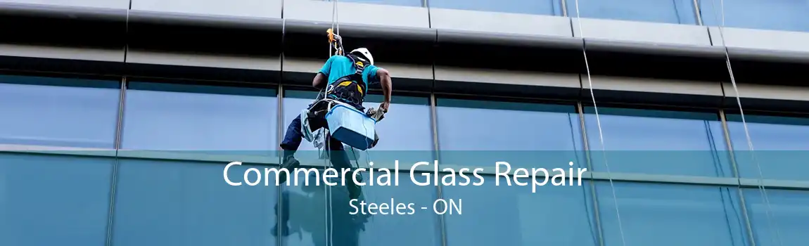 Commercial Glass Repair Steeles - ON