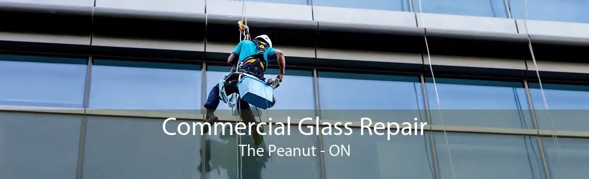 Commercial Glass Repair The Peanut - ON