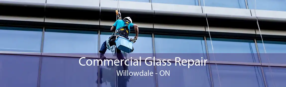 Commercial Glass Repair Willowdale - ON