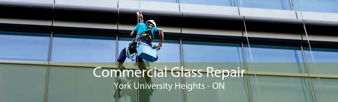 Commercial Glass Repair York University Heights - ON