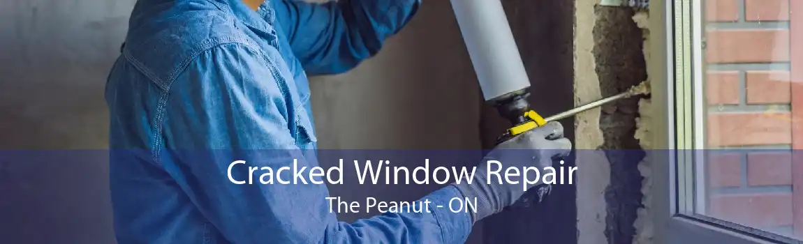 Cracked Window Repair The Peanut - ON