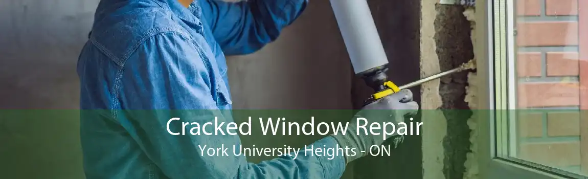 Cracked Window Repair York University Heights - ON