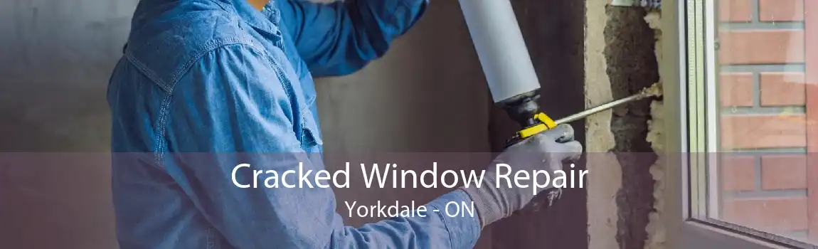 Cracked Window Repair Yorkdale - ON