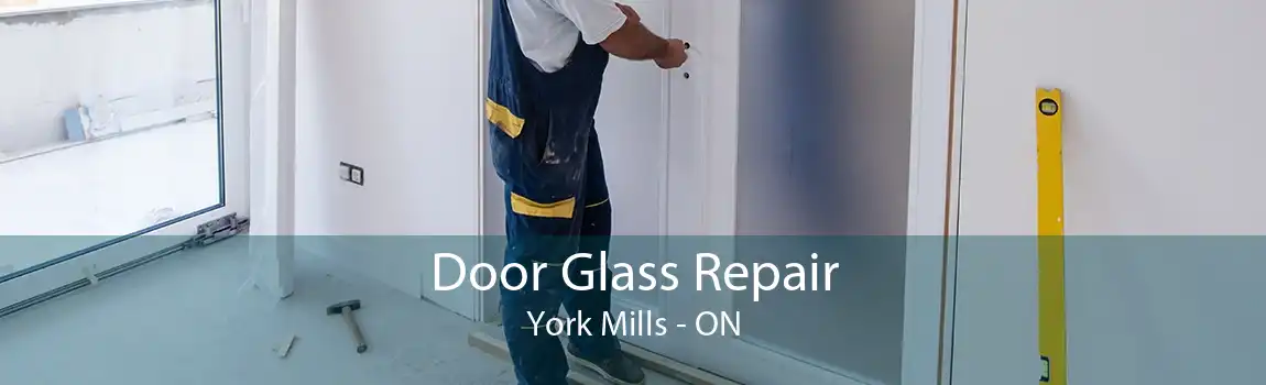 Door Glass Repair York Mills - ON