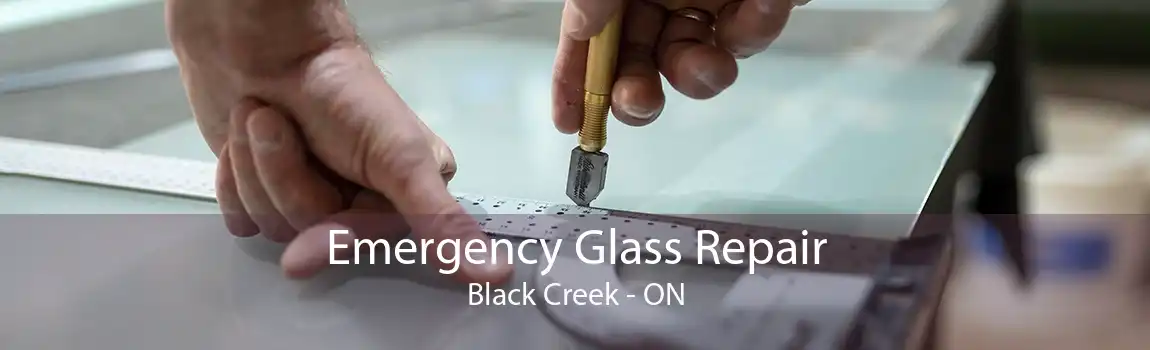 Emergency Glass Repair Black Creek - ON