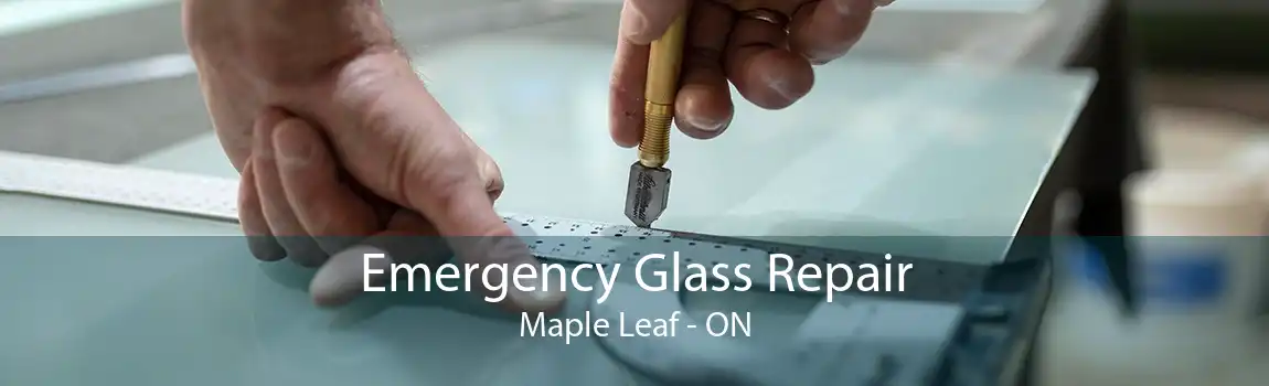 Emergency Glass Repair Maple Leaf - ON