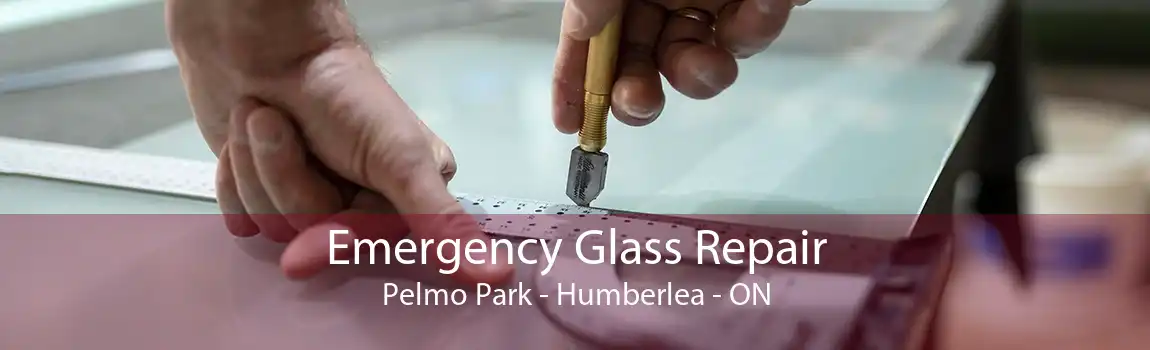 Emergency Glass Repair Pelmo Park - Humberlea - ON