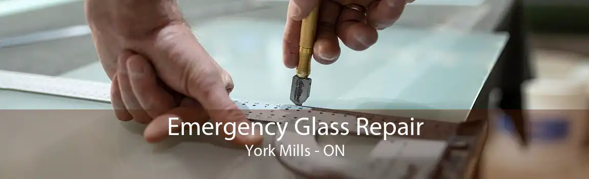 Emergency Glass Repair York Mills - ON