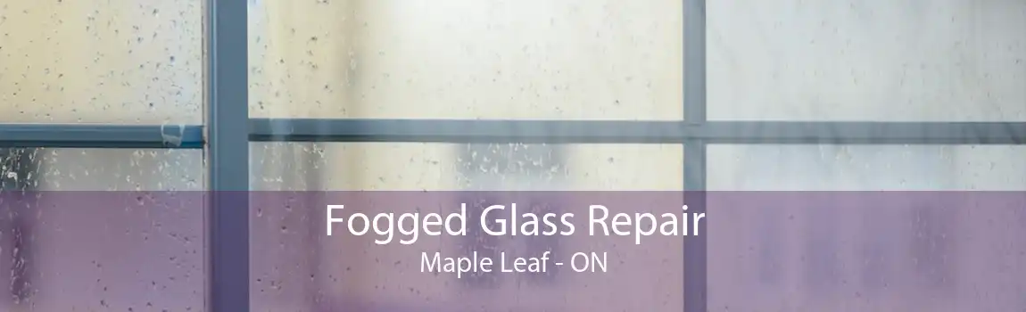 Fogged Glass Repair Maple Leaf - ON