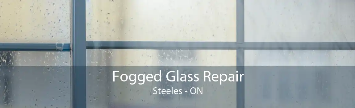 Fogged Glass Repair Steeles - ON