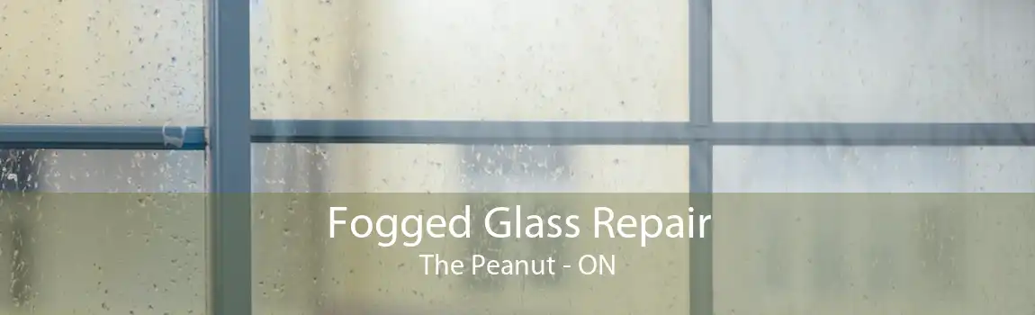 Fogged Glass Repair The Peanut - ON
