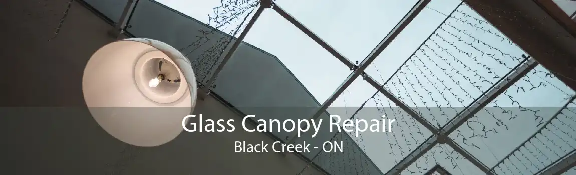 Glass Canopy Repair Black Creek - ON