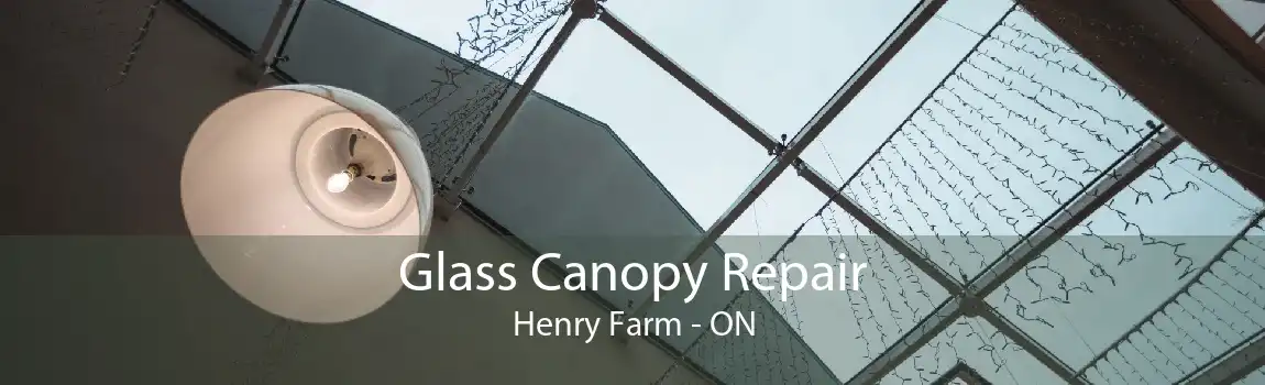 Glass Canopy Repair Henry Farm - ON