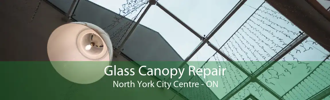 Glass Canopy Repair North York City Centre - ON