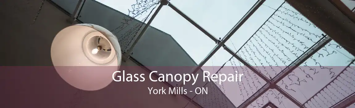 Glass Canopy Repair York Mills - ON