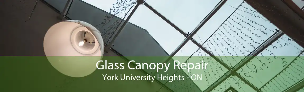 Glass Canopy Repair York University Heights - ON