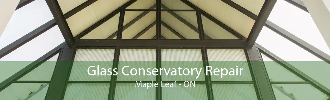 Glass Conservatory Repair Maple Leaf - ON
