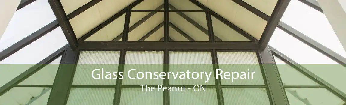 Glass Conservatory Repair The Peanut - ON