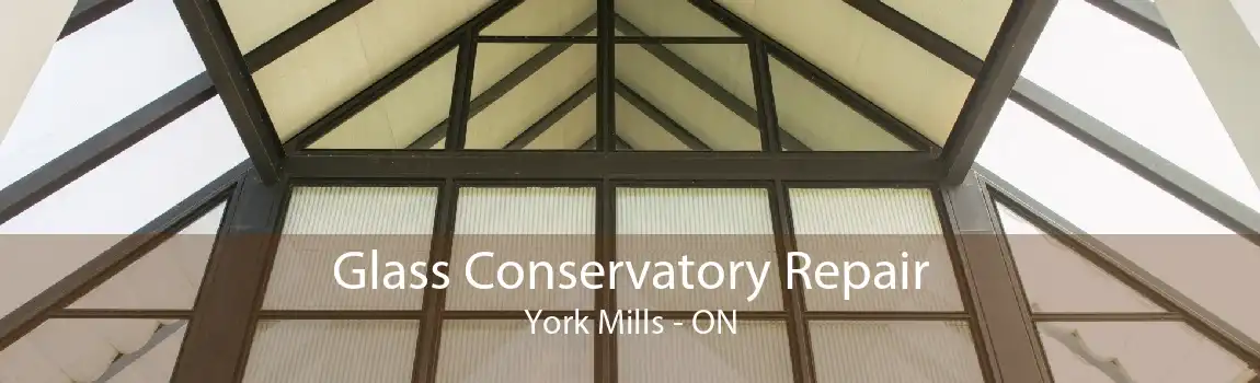 Glass Conservatory Repair York Mills - ON
