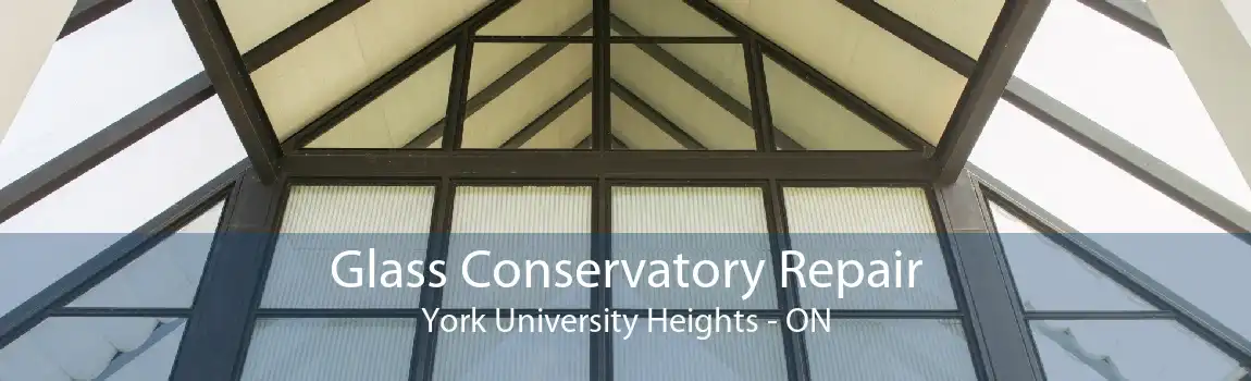 Glass Conservatory Repair York University Heights - ON