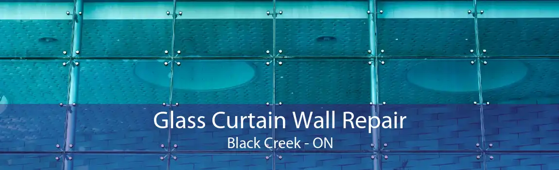 Glass Curtain Wall Repair Black Creek - ON
