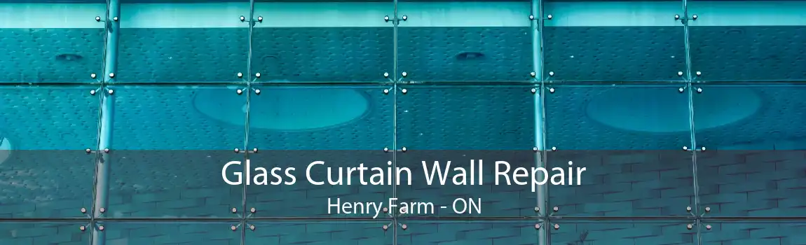 Glass Curtain Wall Repair Henry Farm - ON