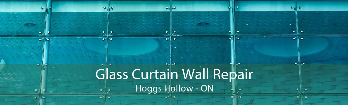 Glass Curtain Wall Repair Hoggs Hollow - ON