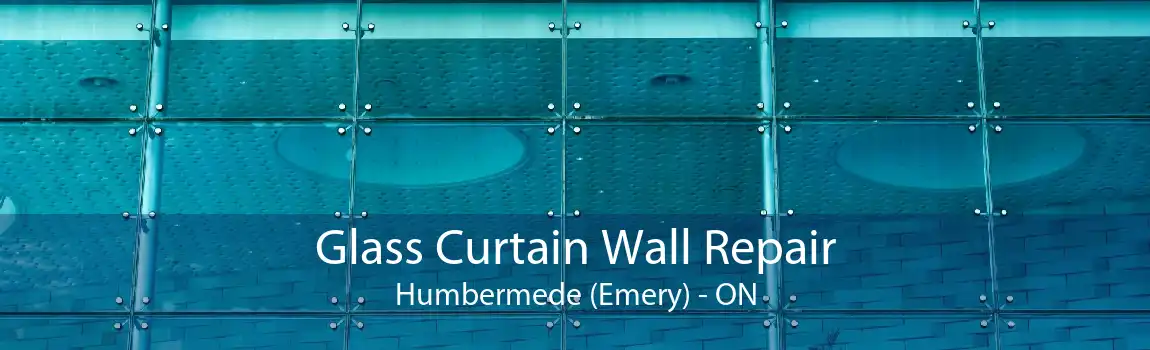Glass Curtain Wall Repair Humbermede (Emery) - ON