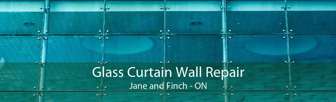 Glass Curtain Wall Repair Jane and Finch - ON
