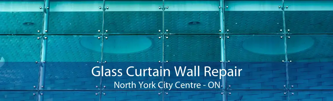 Glass Curtain Wall Repair North York City Centre - ON