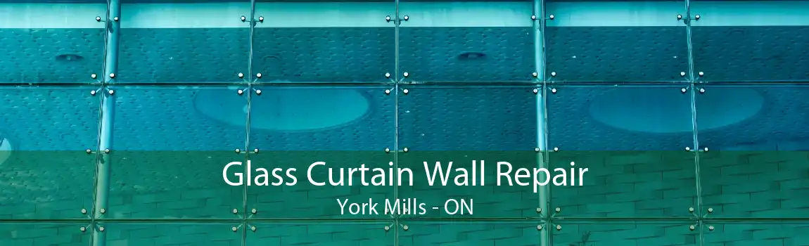 Glass Curtain Wall Repair York Mills - ON