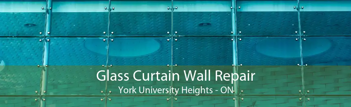 Glass Curtain Wall Repair York University Heights - ON