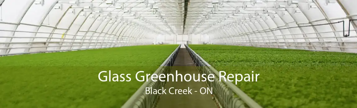 Glass Greenhouse Repair Black Creek - ON