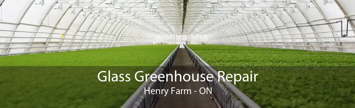 Glass Greenhouse Repair Henry Farm - ON