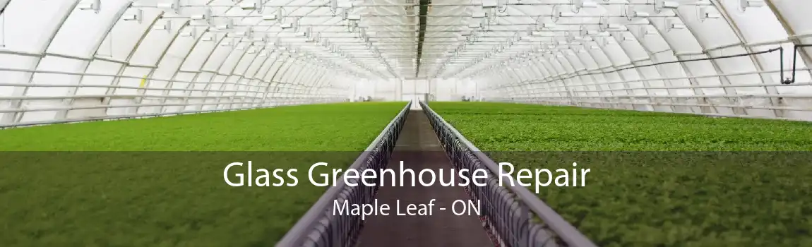 Glass Greenhouse Repair Maple Leaf - ON