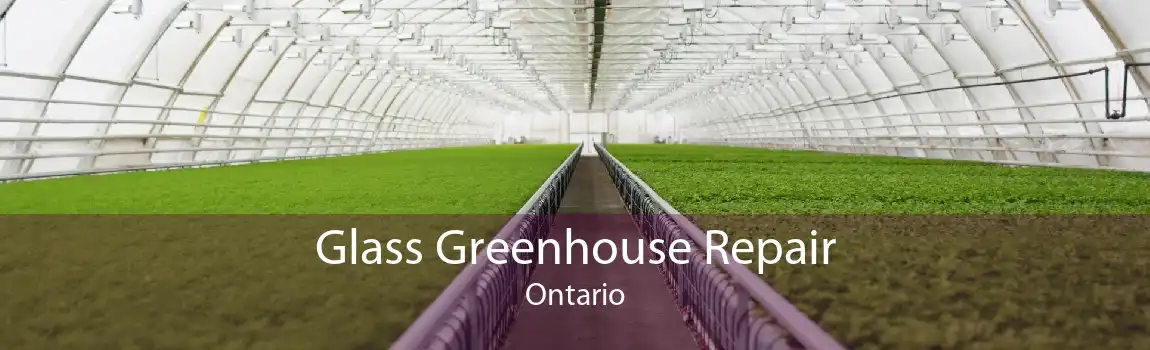 Glass Greenhouse Repair Ontario