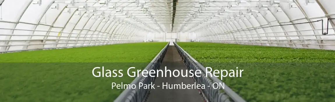 Glass Greenhouse Repair Pelmo Park - Humberlea - ON