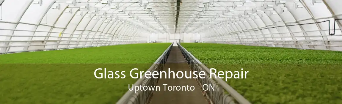 Glass Greenhouse Repair Uptown Toronto - ON
