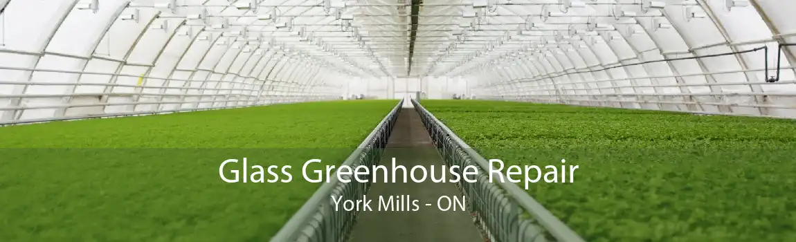 Glass Greenhouse Repair York Mills - ON